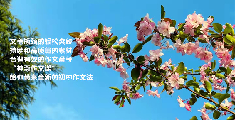 团结合作的作文(团结合作的作文结尾)（团结合作作文（团结合作作文完）文章) 