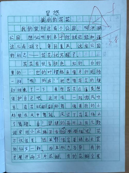 我的植物朋友300字