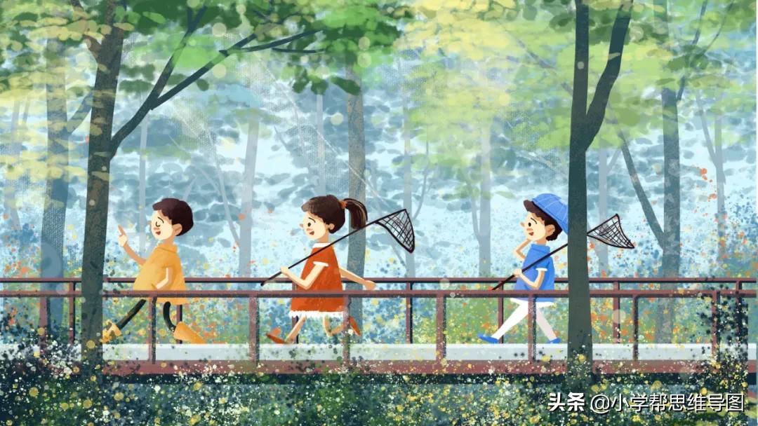 优秀作文 :?《我的乐园》《游公园?》《会飞的母鸡》《划龙舟》