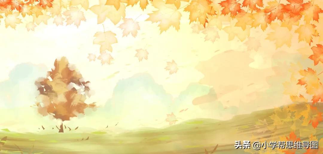 秋天的作文(秋天的作文300字)（秋天作文（秋天作文300字）文章) 