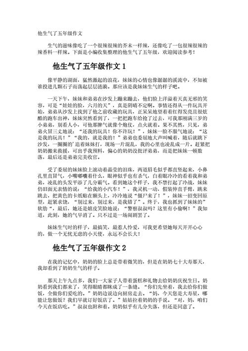 作文《他生气了》