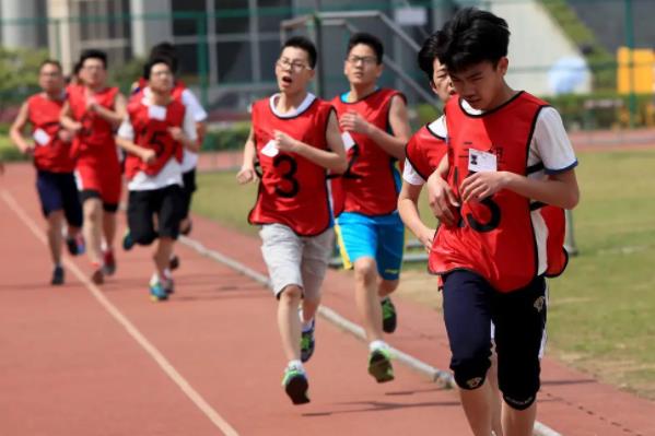 全国中小学将迎来新课标，英语或退出主科之列，体育要取而代之