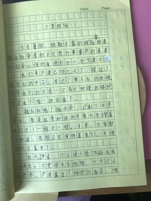 神奇的探险之旅作文500字