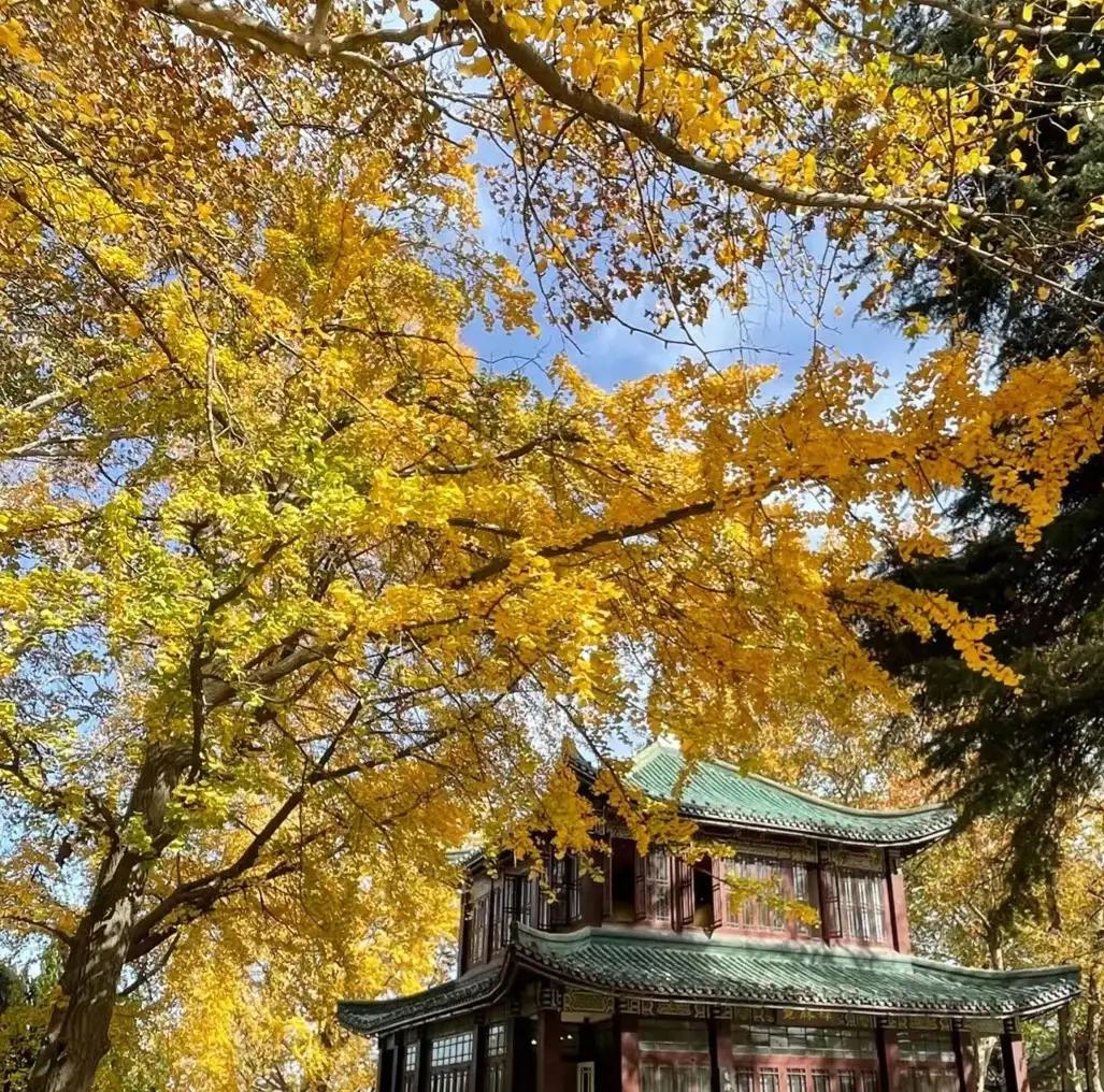 大语文时代：中考作文?为你改变