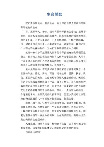 关于生命的作文