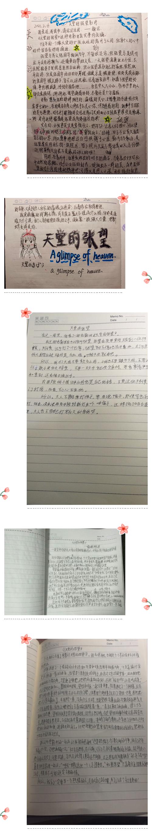 天堂的张望观后感