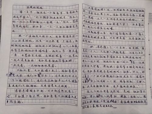 温暖的旅程作文600字(温暖的旅程作文500字)（温暖的旅程作文600字(温暖的旅程作文500字)文章) 