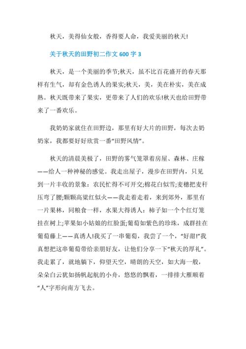 秋天的田野作文300字