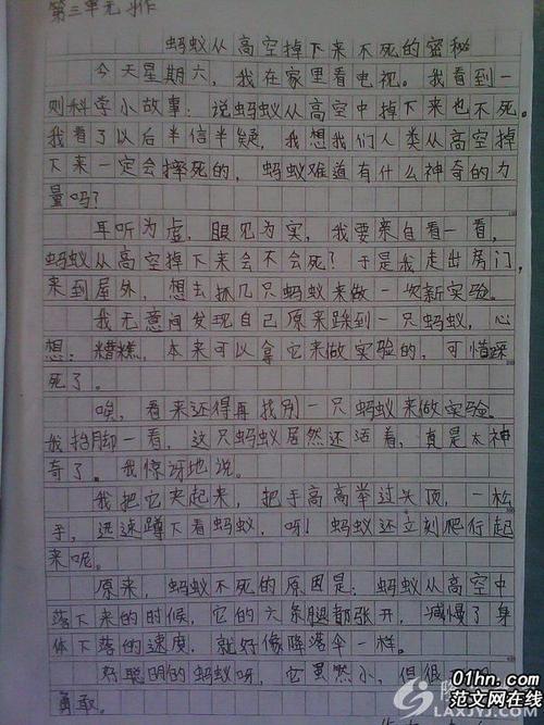 我的发现500字优秀作文