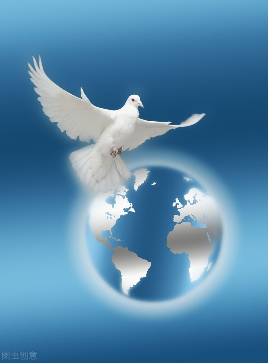 贵州煜华中国传统文化传承网学生征文展示：宽容是人生的一盏明灯