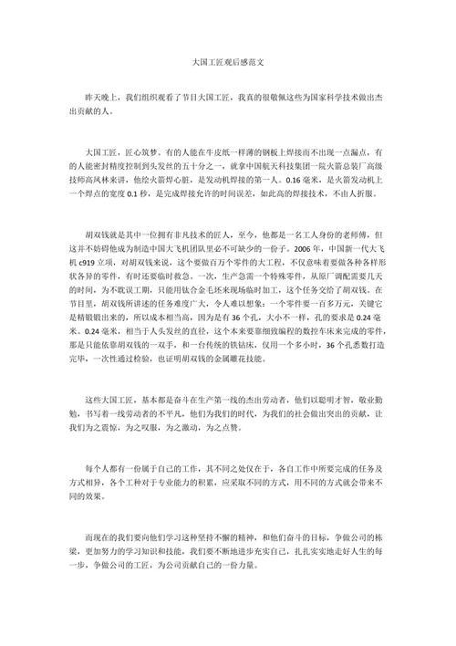 大国工匠观后感