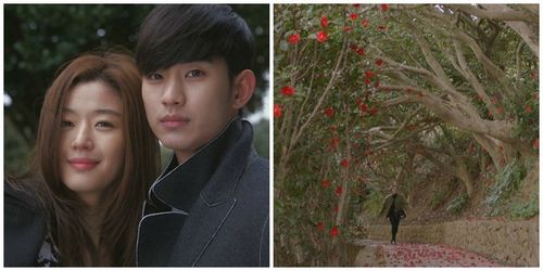 来自星星的你吧