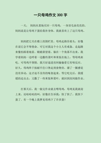 会飞的母鸡作文