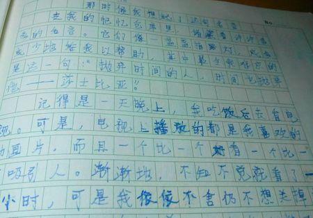 什么的启示作文500字