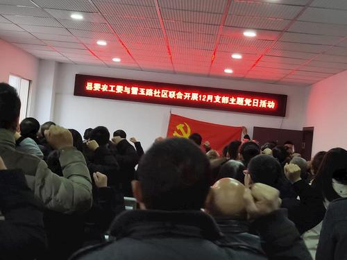 主题党日活动100例(主题党日活动100例子)（主题党日活动100例（主题党日活动100例）文章) 