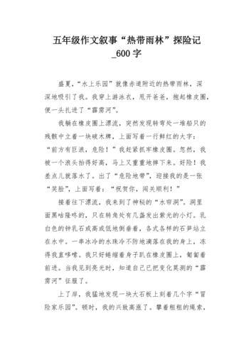 荒岛探险记作文500字五年级