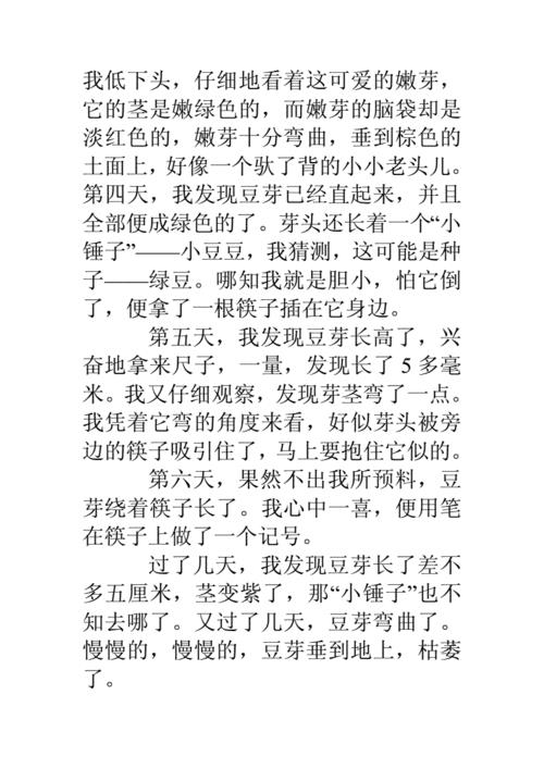 泡豆子观察日记