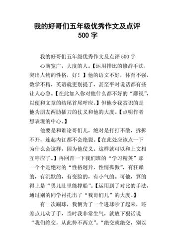 他___了500字优秀作文