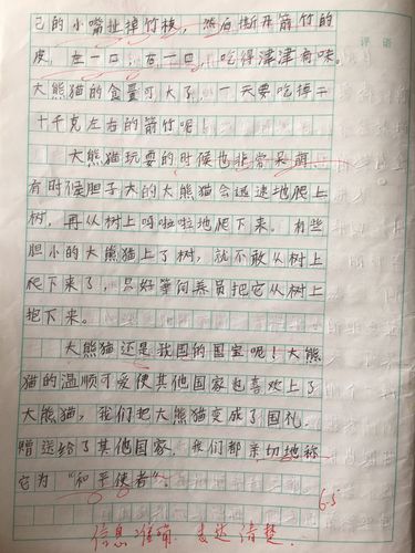 会飞的鸡作文300字三年级