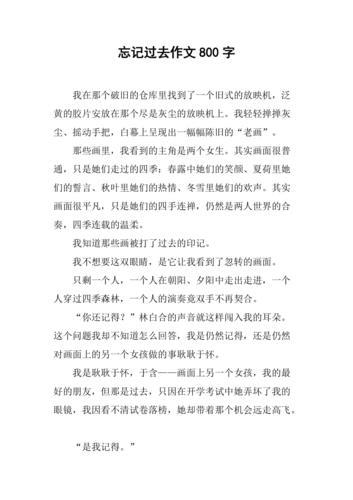 我不会忘记作文