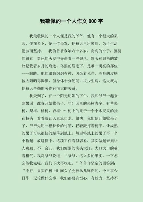 我尊敬的人(我尊敬的人作文500字)（我尊重的人（关于我尊重的人的500字作文）文章) 