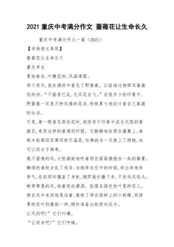 中考作文2021满分作文