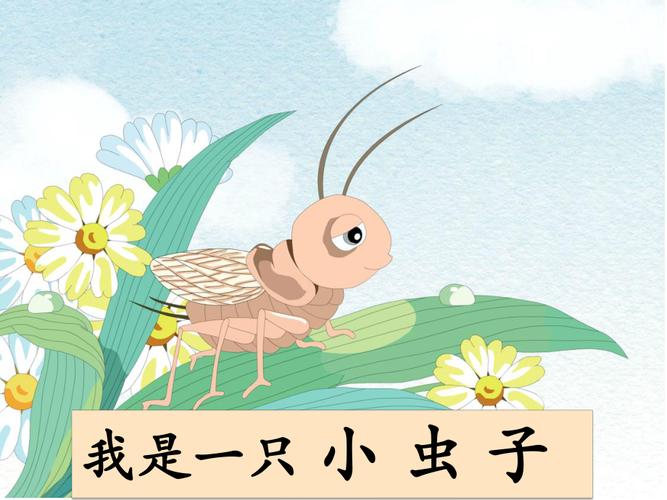 我是一只小虫子
