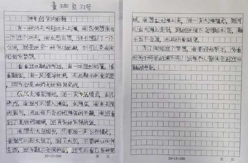 不一样的什么作文