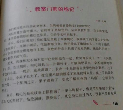 借物喻人的作文400字