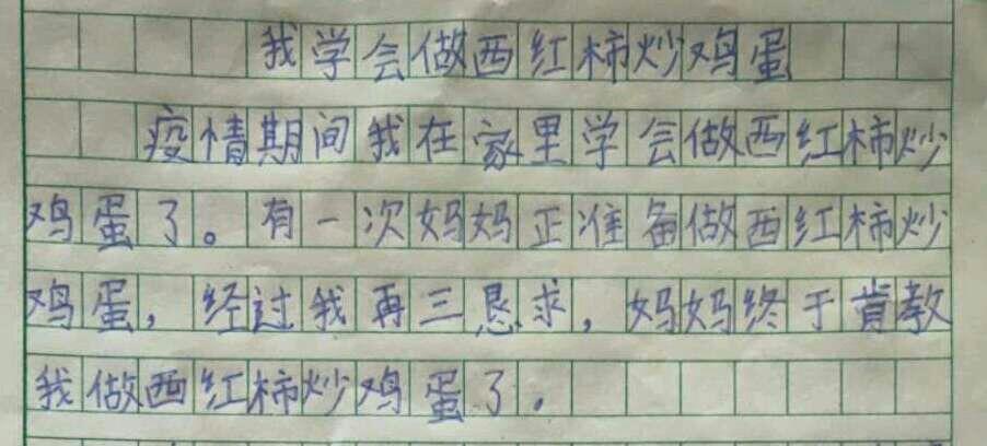 我学会了西红柿炒鸡蛋