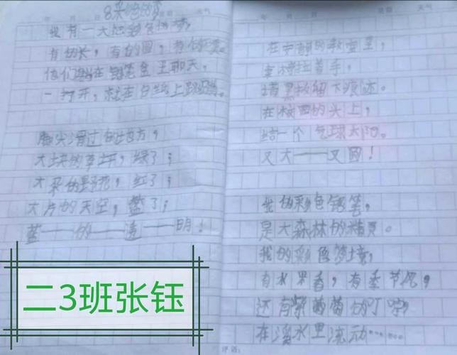 仿写彩色的梦第三段