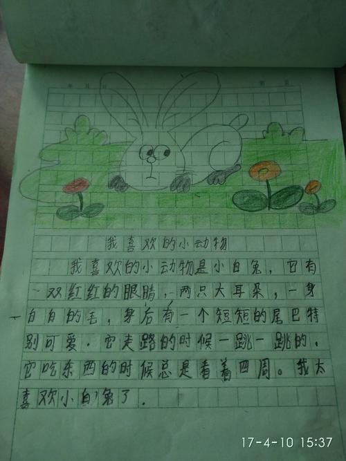 写话我想养的小动物