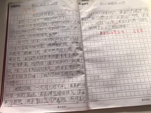 三年级作文题目(三年级作文题目有趣的事情)（三年级作文题（三年级作文题的趣事）文章) 