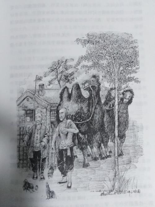 骆驼祥子的三起三落