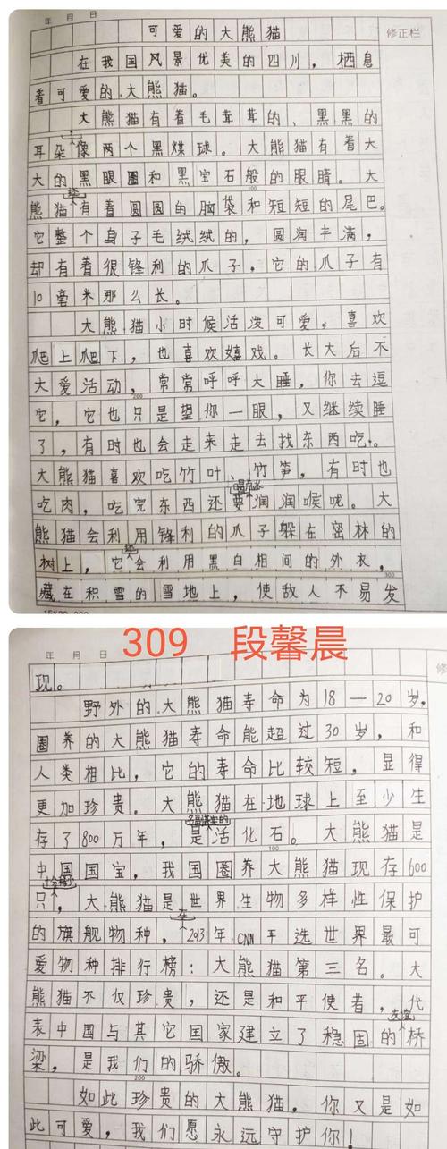 大熊猫作文300字三年级