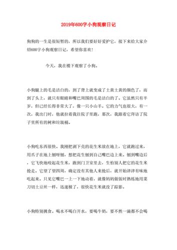 观察日记动物小狗(观察日记动物小狗450字)（动物小狗观察日记（动物小狗观察日记450字）文章) 