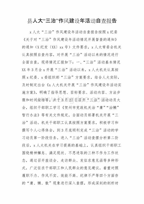 能力作风建设年个人自查报告