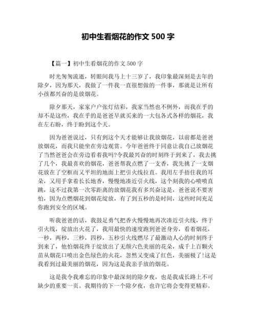 他__了作文500字左右