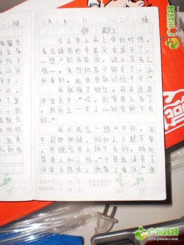 日记大全100字(日记大全100字高中生)（完整日记100字（高中生完整日记100字）文章) 