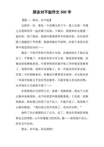 他__了作文500字左右