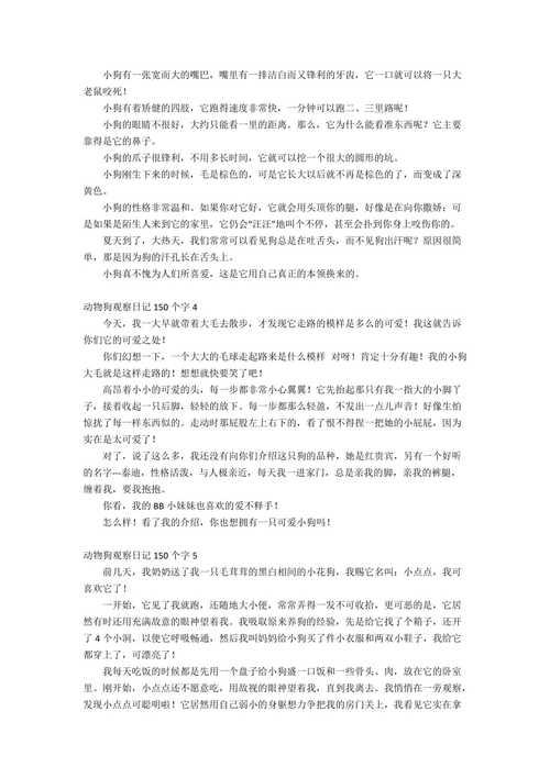 观察日记动物小狗