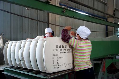 棉花加工检验数据平台(棉花加工检验数据平台中批次如何查询)（棉花加工检验数据平台（如何在棉花加工检验数据平台查询批次）文章) 