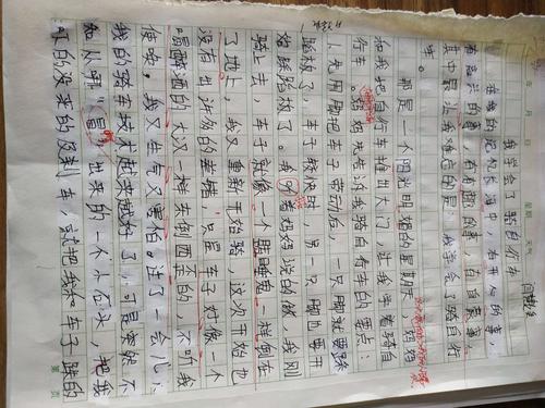 作文《我学会了……》四年级