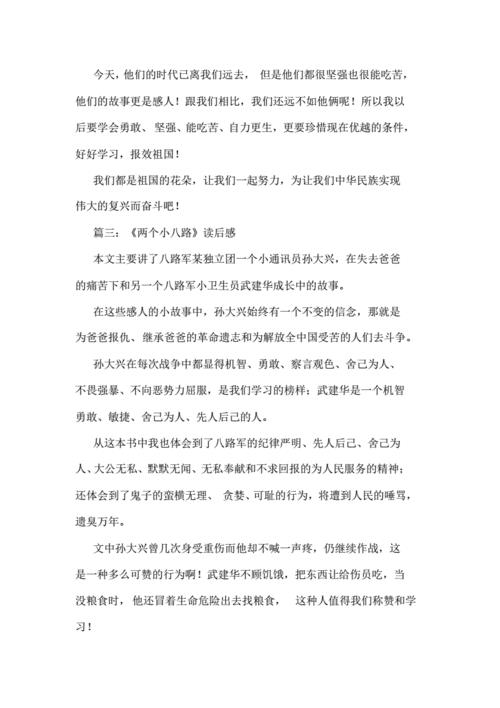 两个小八路读后感(两个小八路读后感500到600字)（读《二小八路》后的评论（读《二小八路》后的评论，500至600字）文章) 