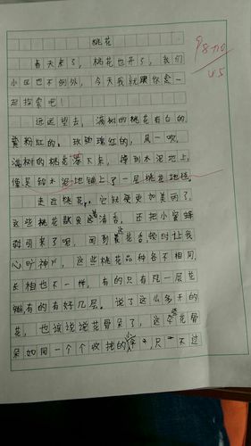 三年级下册第八单元作文