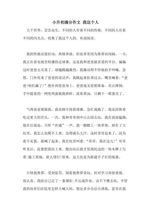 我这个人作文(我这个人作文500字优秀)（作文（一篇关于我的优秀500字作文）文章) 