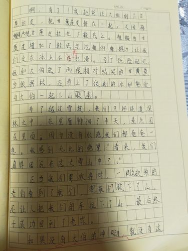神奇的探险之旅400字