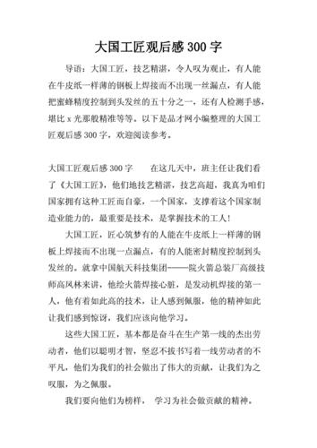 大国工匠观后感2000字