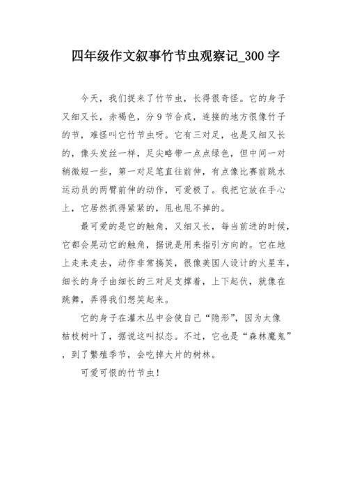 观察作文400字四年级