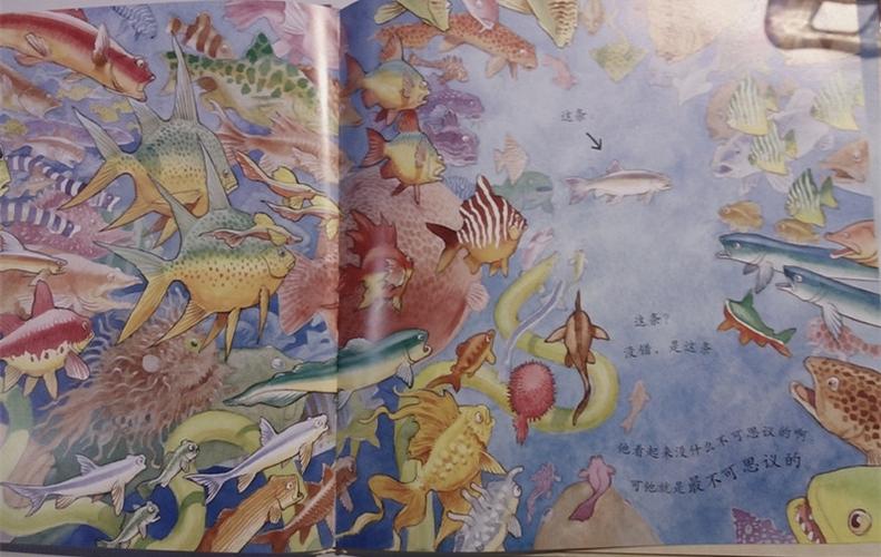 我想变成一条鱼(我想变成一条鱼作文450字)（我想变成一条鱼（我想变成一条鱼作文450字）文章)